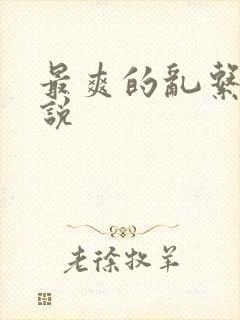 最爽的乱系列小说封面