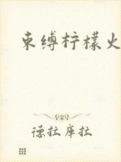 束缚柠檬火焰封面