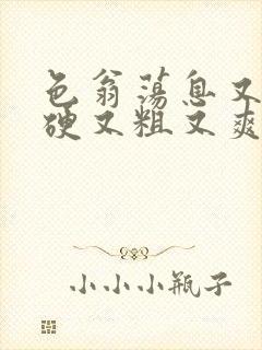 色翁荡息又大又硬又粗又爽小莹