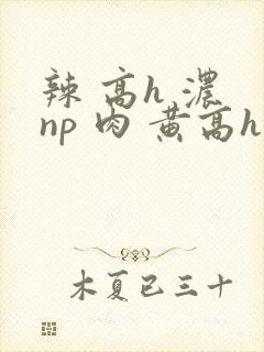辣 高h 浓 np 肉 黄高h封面