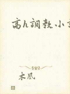 高h调教小说