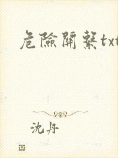 危险关系txt封面