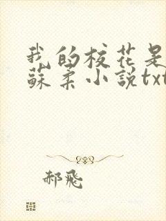我的校花是福姬苏柔小说txt封面