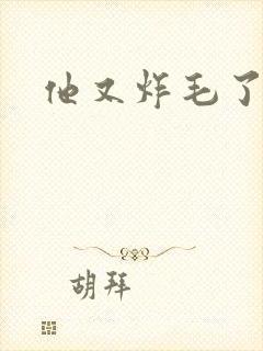 他又炸毛了