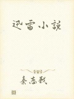 迅雷小说