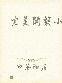 完美关系小说