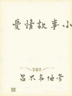 爱情故事小说