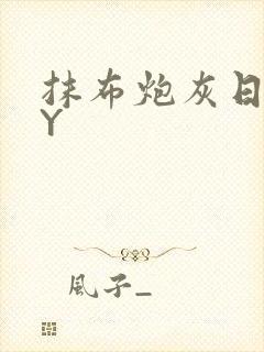 抹布炮灰日记BY封面
