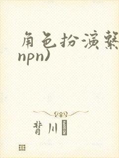 角色扮演系统(npn)