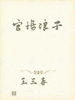 官场浪子封面