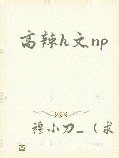 高辣h文np