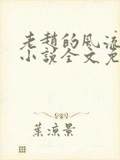 老赵的风流人生小说全文免费阅读