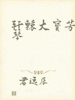 轩辕大宝芳菲雅琴