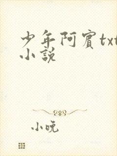 少年阿宾txt小说