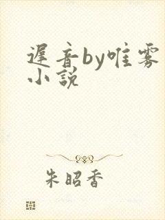 迟音by唯雾的小说封面