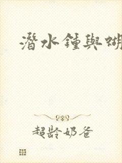 潜水钟与蝴蝶封面