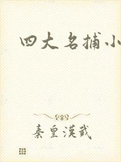 四大名捕小说封面