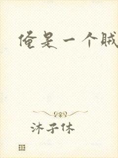 俺是一个贼封面