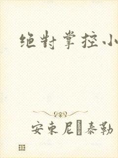 绝对掌控小说
