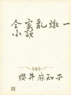 全家乱炖一锅烩小说