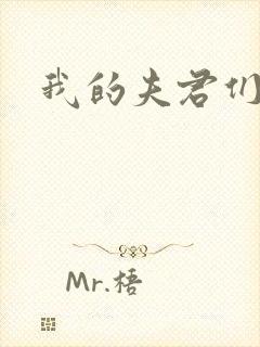 我的夫君们封面