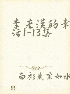 李老汉的幸福生活1-13集