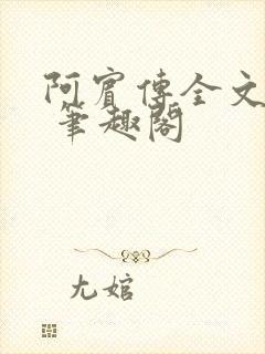 阿宾传全文阅读 笔趣阁