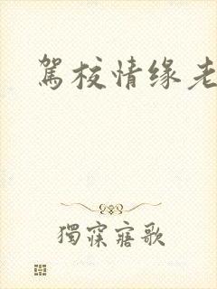 驾校情缘老赵封面