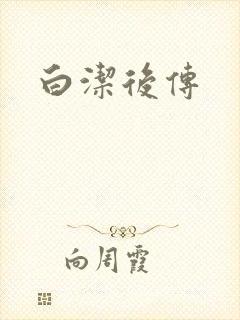 白洁后传封面