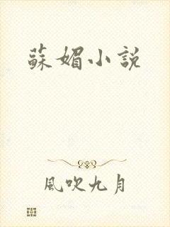 苏媚小说封面
