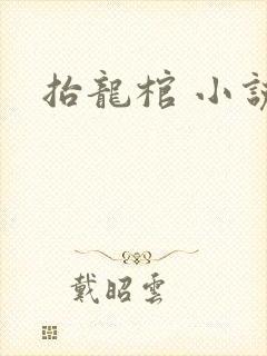 抬龙棺 小说封面