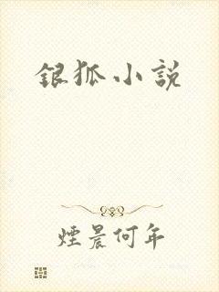 银狐小说