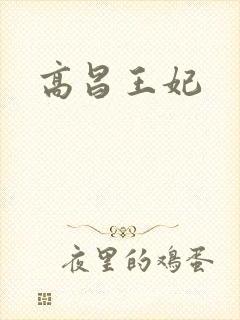 高昌王妃封面