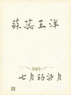 苏蕊王洋