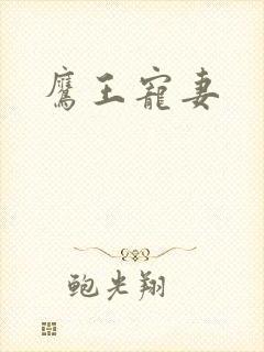 鹰王宠妻