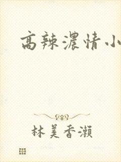 高辣浓情小说