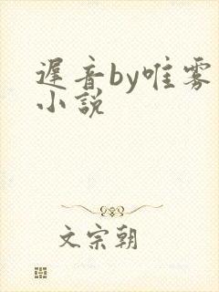 迟音by唯雾的小说