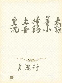 皇上撞着太子妃沈音的小说叫什么封面
