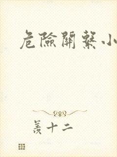危险关系小说
