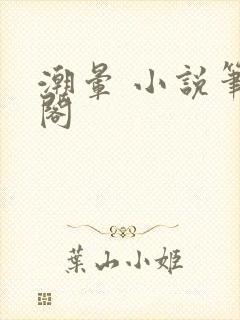 潮晕 小说笔趣阁封面
