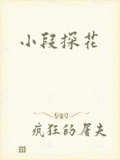 小段探花