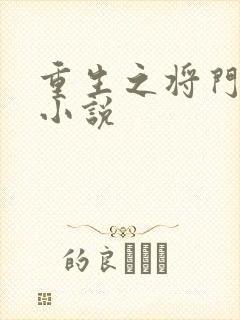 重生之将门毒后小说