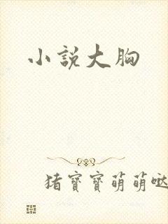 小说大胸