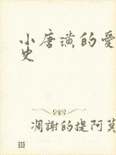 小唐璜的爱情历史