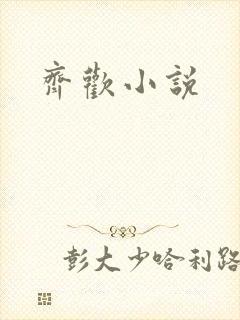 齐欢小说封面