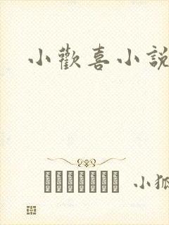 小欢喜小说