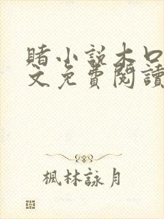 赌小说木口银全文免费阅读笔趣阁