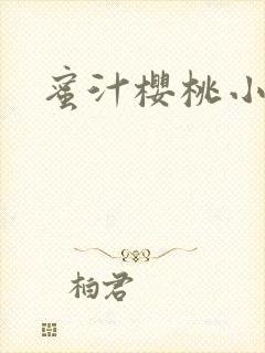 蜜汁樱桃小说