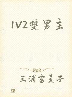 1V2双男主