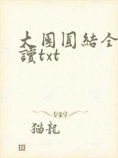 大团圆结全文阅读txt
